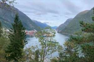В Норвегии туристам предлагают дом на дереве с видом на фьорд